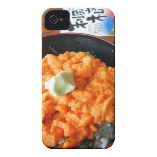 Sea urchin bowl Case-Mate iPhone case (Back)