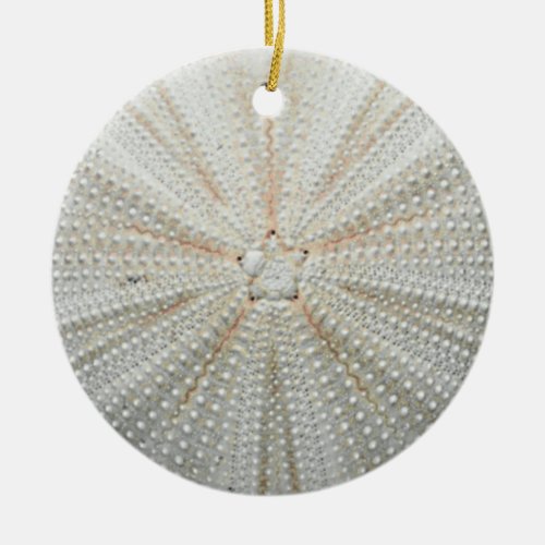 Sea Urchin Christmas Ornament