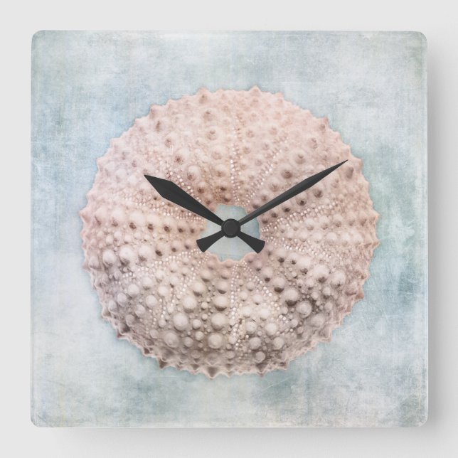 Sea Urchin Distressed Coastal Blue Cream Painting Square Wall Clock (Front)