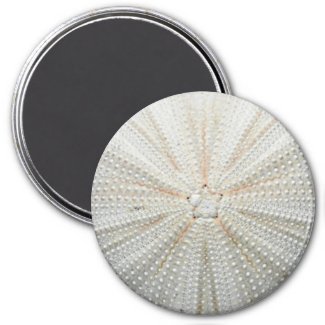 Sea Urchin Fridge Magnet - Round