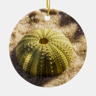 Sea Urchin on beach Ceramic Ornament