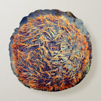 Sea Urchin Round Pillow