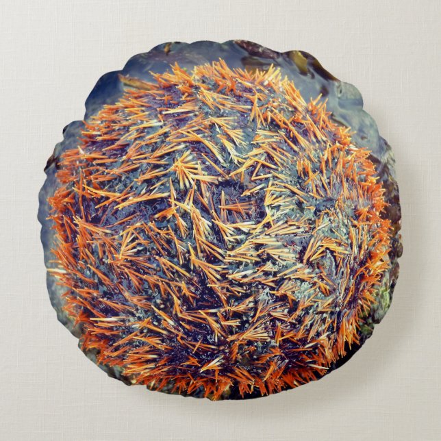 Sea Urchin Round Pillow (Front)