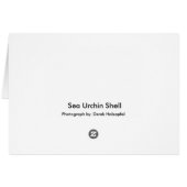 Sea Urchin Shell (Back Horizontal)