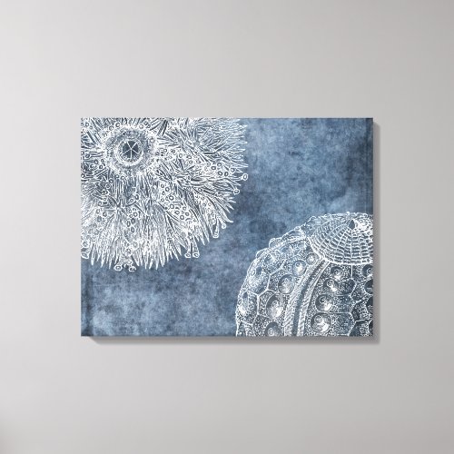 Sea Urchin Watercolor Ocean Navy Blue White Poster Canvas Print