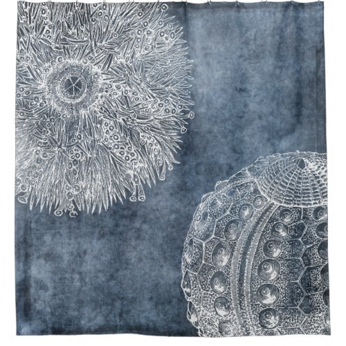 Sea Urchin Watercolor Ocean Navy Blue White Shower Curtain