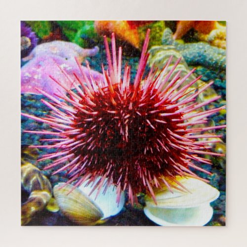 Sea Urchins Jigsaw Puzzle