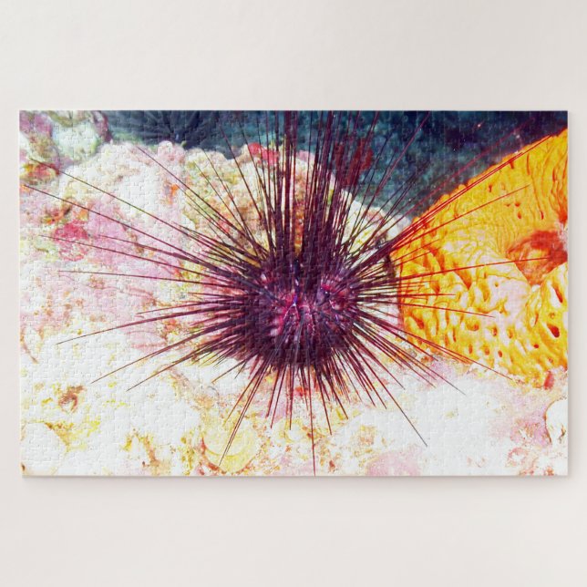 Sea Urchins Jigsaw Puzzle (Horizontal)