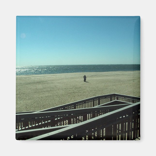 sea urchins magnet (Front)