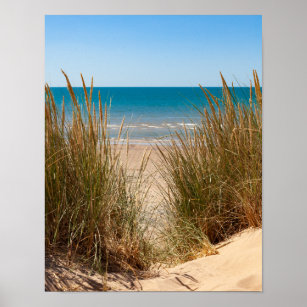 Grass by the Sea Poster - Quadro Spiaggia di Dune