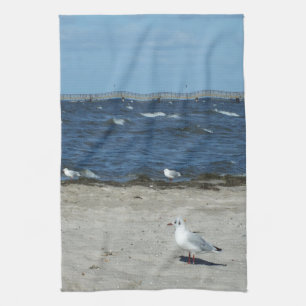sea, water, seagull, bird, travel, blue, sky, kitchen towel