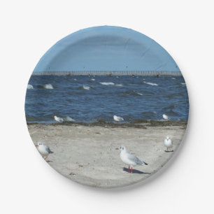 sea, water, seagull, bird, travel, blue, sky, paper plates