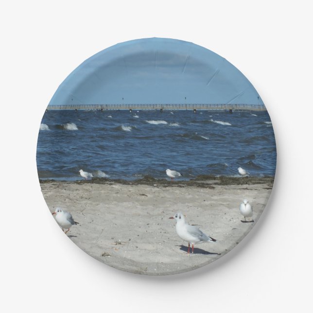 sea, water, seagull, bird, travel, blue, sky, paper plates (Front)