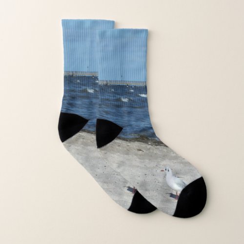 sea water seagull bird travel blue sky socks