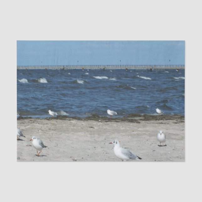 sea, water, seagull, bird, travel, blue, sky, tissue paper (Front)