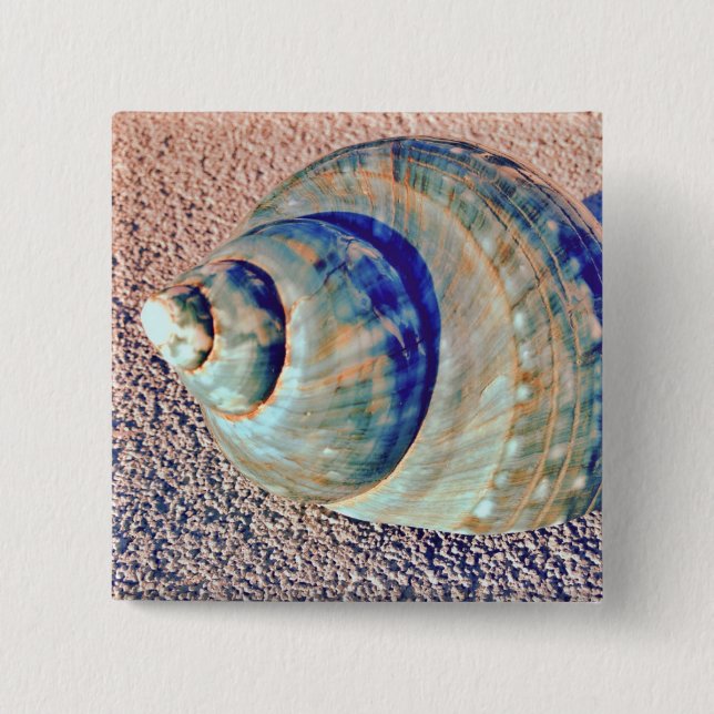 Sea Welk Seashell Button (Front)