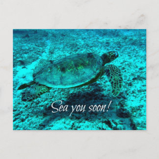 Sea you soon! Turtle Post Card