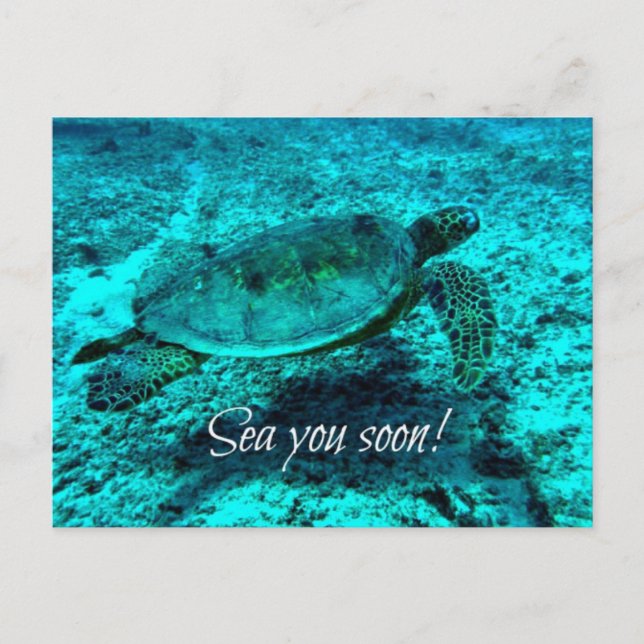 Sea you soon! Turtle Post Card (Front)