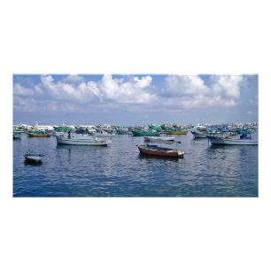 SeaaScape Card
