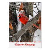 Seaason's Greetings Cardinal (Front)