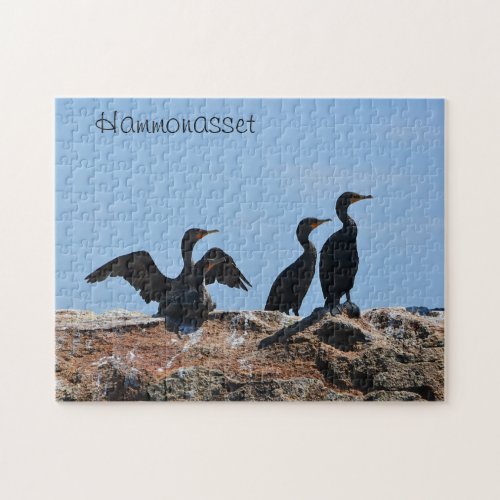 Seabird Puzzle