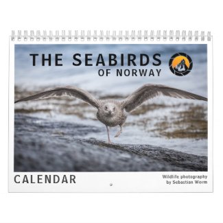 Seabirds 2023 calendar