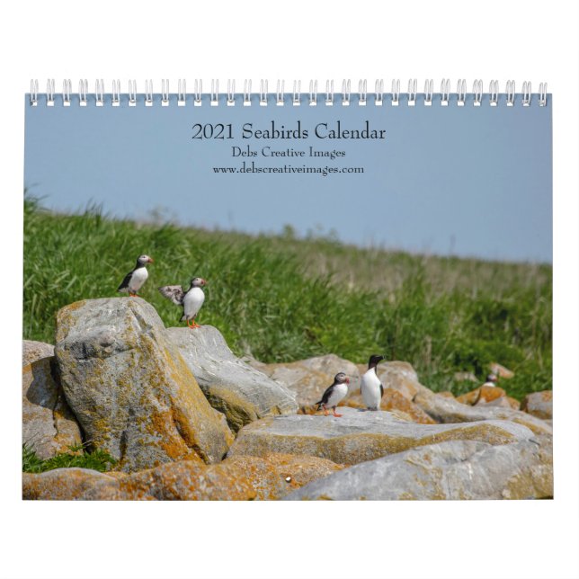 Seabirds at Machias Seal Island 2021 Calendar (Cover)