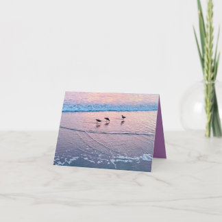 Seabirds at Twilight Card