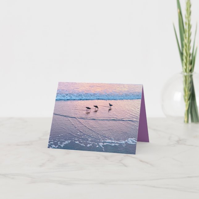 Seabirds at Twilight Card (Front)