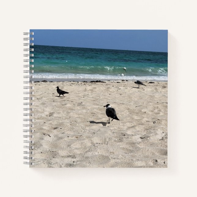 Seabirds & Scribbles Notebook (Front)
