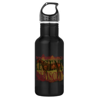 Seabiscuit - Thoroughbred Racing Legend Stainless Steel Water Bottle