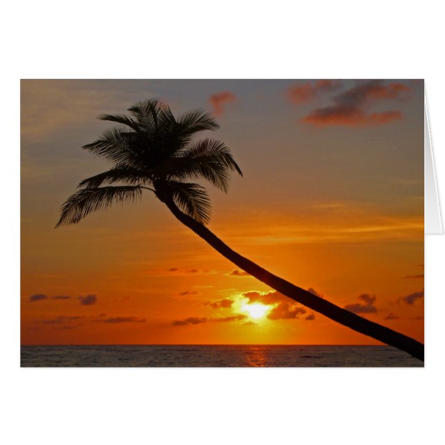 Seafoam (Front Horizontal)