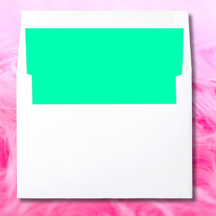 Seafoam Green cool modern airy Envelope Liner