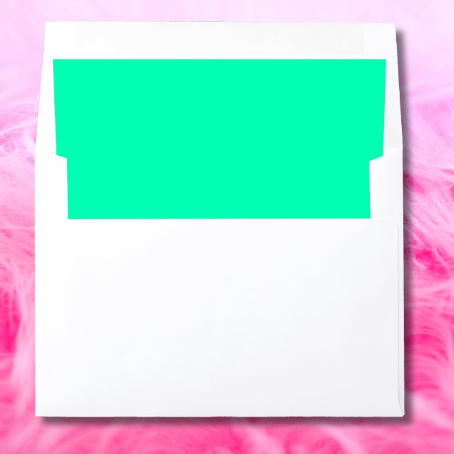 Seafoam Green cool modern airy Envelope Liner (Creator Uploaded)