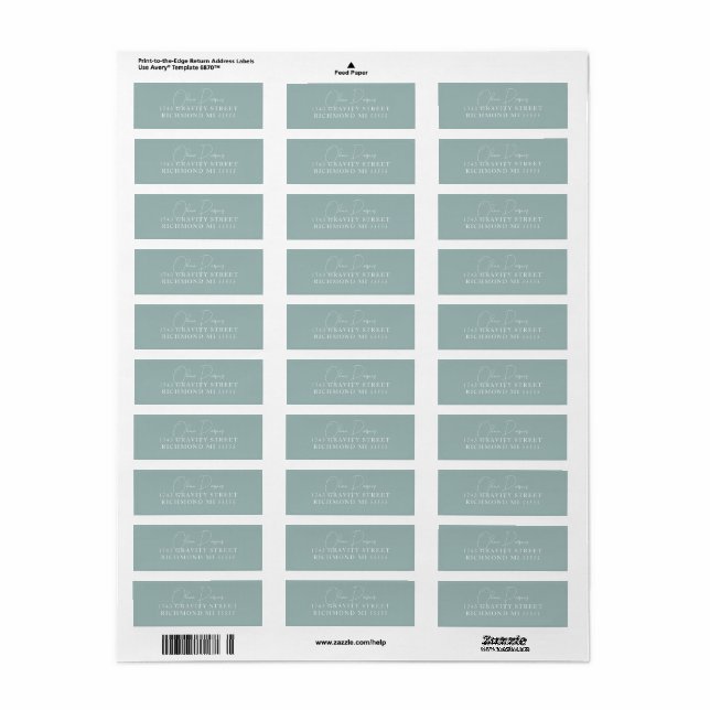 Seafoam Green Modern Minimally Scripted Address Label