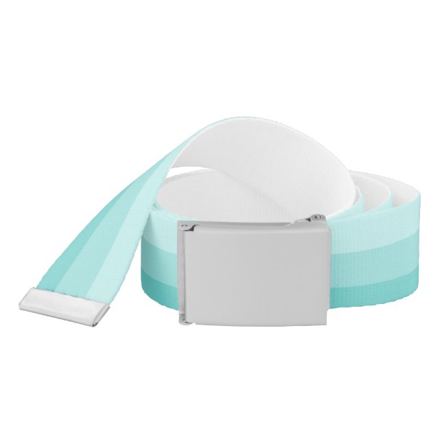 Seafoam Green Ombre Stripes Belt (Snake)