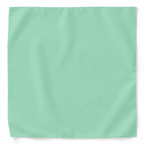 Seafoam Green Solid Color Bandana
