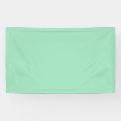 Seafoam Green Solid Color Banner