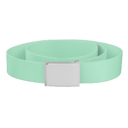 Seafoam Green Solid Color Belt