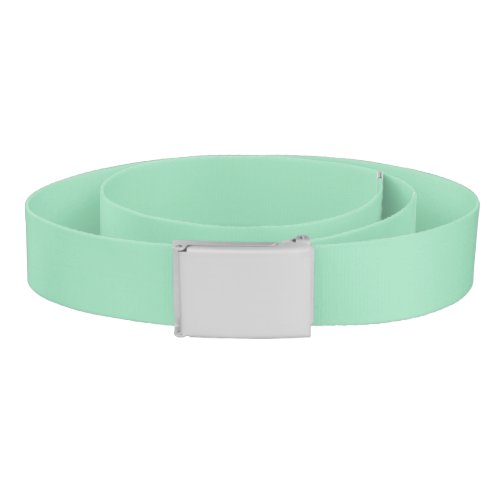 Seafoam Green Solid Color Belt