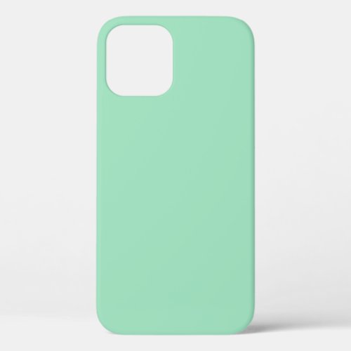 Seafoam Green Solid Color iPhone 12 Case