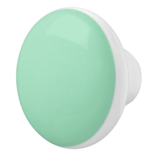 Seafoam Green Solid Color Ceramic Knob