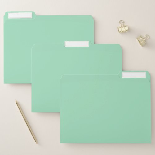 Seafoam Green Solid Color File Folder