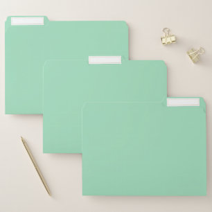 Seafoam Green Solid Color File Folder