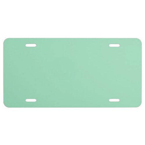 Seafoam Green Solid Color License Plate