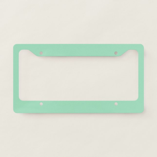 Seafoam Green Solid Color License Plate Frame (Front)