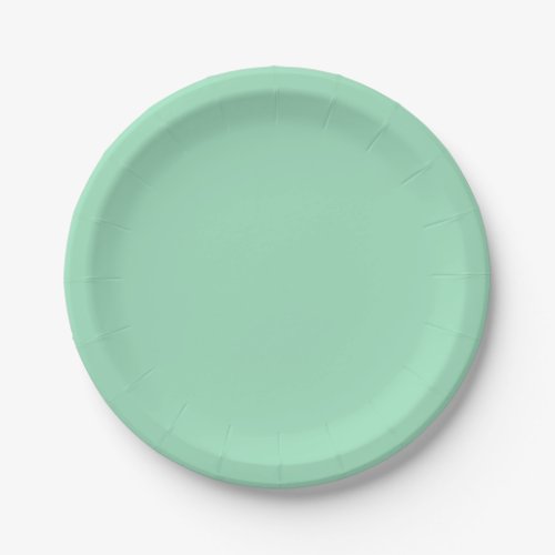 Seafoam Green Solid Color Paper Plates