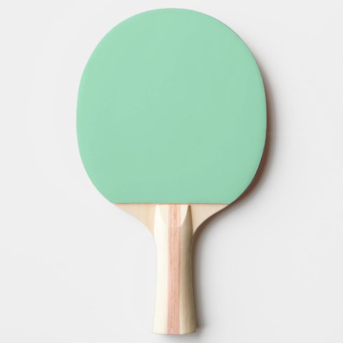 Seafoam Green Solid Color Ping Pong Paddle