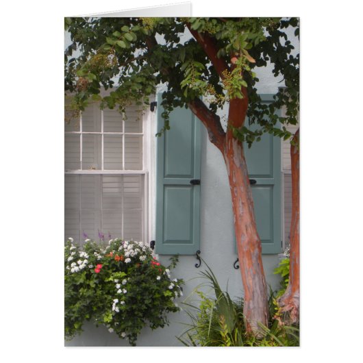 Seagreen Shutters Cards (Front)