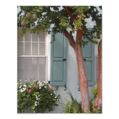 Seagreen shutters photo print